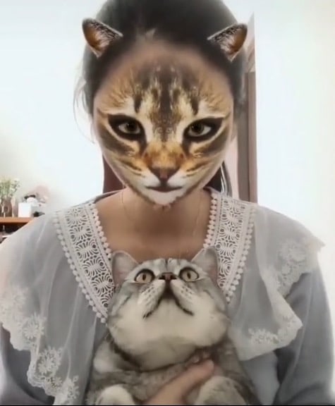 Reaksi Lucu Kucing Bila Lihat Owner Guna Filter Kucing 3